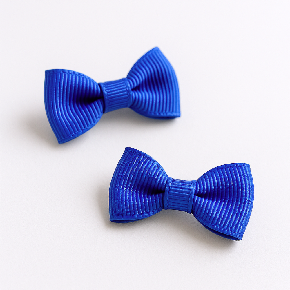 Mini Ganchos Niña Cabello Cobalto (2 unidades)