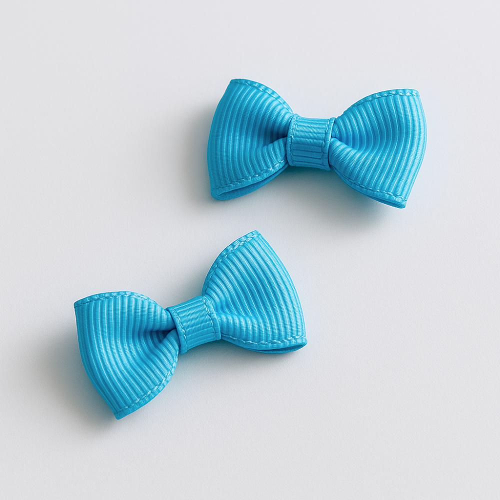 Ganchos Niña Cabello Ceruleo - Le Petit Company