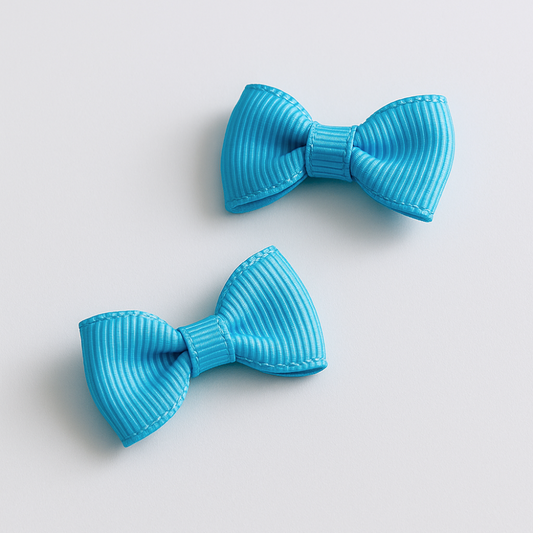 Ganchos Niña Cabello Ceruleo - Le Petit Company