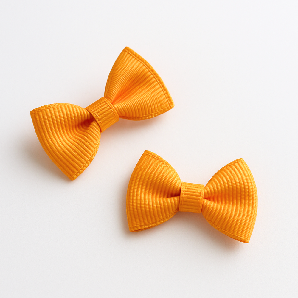 Mini Ganchos Cabello Niña Mandarina (2 unidades)