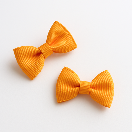 Mini Ganchos Cabello Niña Mandarina (2 unidades)